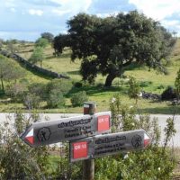 imgi_34_algarve_cycling_3-16_-_trans-algarve_hinterland_and_coast_tour_-_trans-algarve_hinterland_and_kuestentour_1